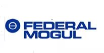 FEDERAL MOGUL.jpg