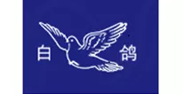 白鸽.jpg